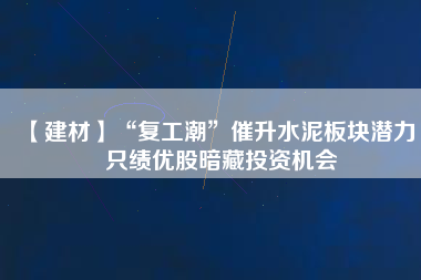 【建材】“復(fù)工潮”催升水泥板塊潛力 4只績(jī)優(yōu)股暗藏投資機(jī)會(huì)