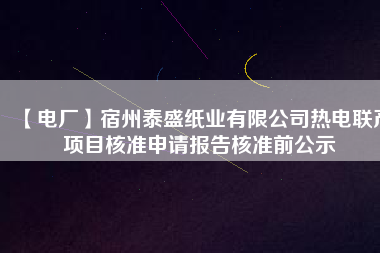 【電廠】宿州泰盛紙業(yè)有限公司熱電聯(lián)產(chǎn)項(xiàng)目核準(zhǔn)申請(qǐng)報(bào)告核準(zhǔn)前公示