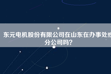 東元電機股份有限公司在山東在辦事處或分公司嗎？