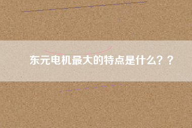 東元電機(jī)最大的特點(diǎn)是什么？？