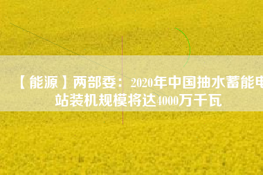 【能源】?jī)刹课?020年中國(guó)抽水蓄能電站裝機(jī)規(guī)模將達(dá)4000萬千瓦