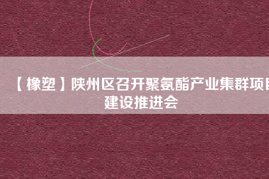 【橡塑】陜州區(qū)召開聚氨酯產業(yè)集群項目建設推進會