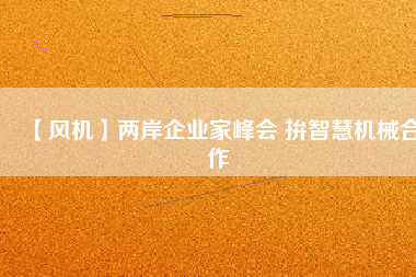 【風機】兩岸企業(yè)家峰會 拚智慧機械合作