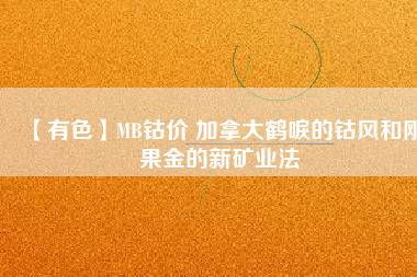 【有色】MB鈷價 加拿大鶴唳的鈷風(fēng)和剛果金的新礦業(yè)法