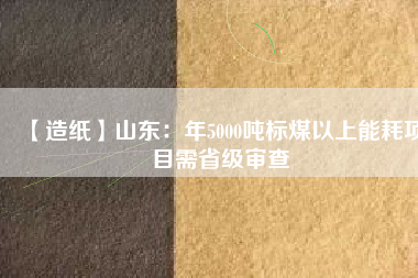 【造紙】山東：年5000噸標(biāo)煤以上能耗項(xiàng)目需省級(jí)審查