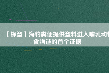 【橡塑】海豹糞便提供塑料進入哺乳動物食物鏈的首個證據(jù)