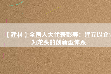 【建材】全國(guó)人大代表彭壽：建立以企業(yè)為龍頭的創(chuàng)新型體系