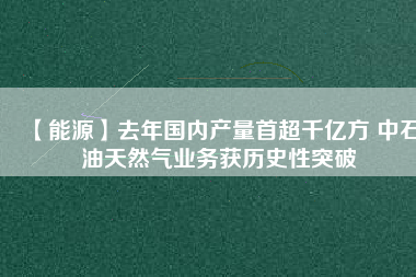 【能源】去年國內(nèi)產(chǎn)量首超千億方 中石油天然氣業(yè)務獲歷史性突破