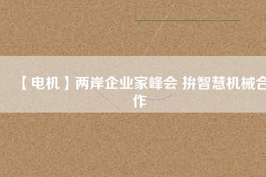 【電機】兩岸企業(yè)家峰會 拚智慧機械合作
          