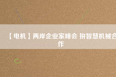 【電機】兩岸企業(yè)家峰會 拚智慧機械合作
          