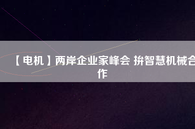 【電機】兩岸企業(yè)家峰會 拚智慧機械合作
          