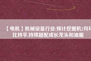 【電機(jī)】機(jī)械設(shè)備行業(yè):預(yù)計(jì)挖掘機(jī)2月環(huán)比持平,持續(xù)超配成長(zhǎng)龍頭和油服
          