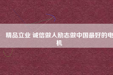 精品立業(yè) 誠信做人勵志做中國最好的電機
          