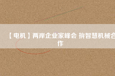 【電機】兩岸企業(yè)家峰會 拚智慧機械合作
          