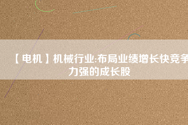 【電機(jī)】機(jī)械行業(yè):布局業(yè)績增長快競爭力強(qiáng)的成長股
          