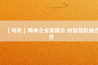 【電機】兩岸企業(yè)家峰會 拚智慧機械合作
          