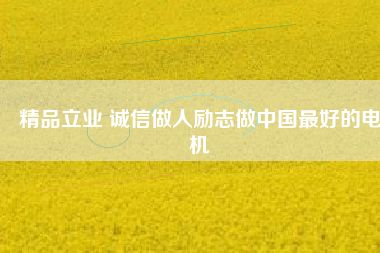 精品立業(yè) 誠信做人勵志做中國最好的電機
          