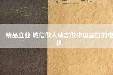 精品立業(yè) 誠信做人勵志做中國最好的電機
          