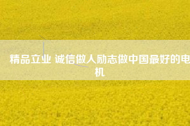 精品立業(yè) 誠信做人勵志做中國最好的電機
          