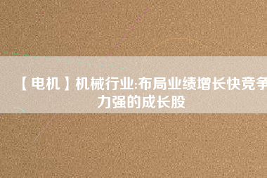 【電機(jī)】機(jī)械行業(yè):布局業(yè)績增長快競爭力強(qiáng)的成長股
          