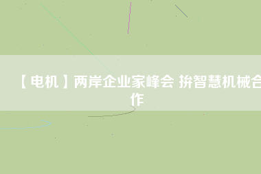 【電機】兩岸企業(yè)家峰會 拚智慧機械合作
          