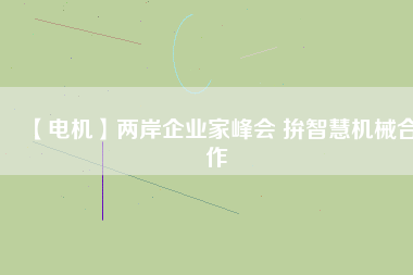 【電機】兩岸企業(yè)家峰會 拚智慧機械合作
          