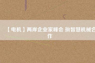 【電機】兩岸企業(yè)家峰會 拚智慧機械合作
          