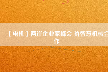 【電機】兩岸企業(yè)家峰會 拚智慧機械合作
          