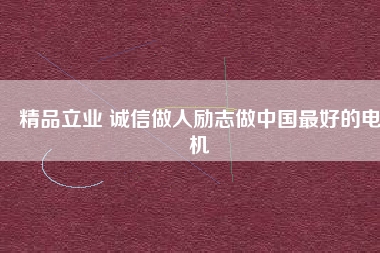 精品立業(yè) 誠信做人勵志做中國最好的電機
          