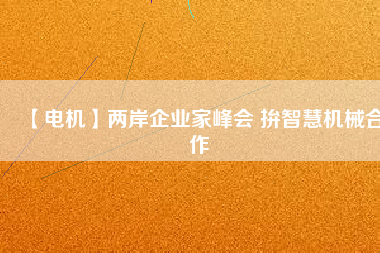 【電機】兩岸企業(yè)家峰會 拚智慧機械合作
          