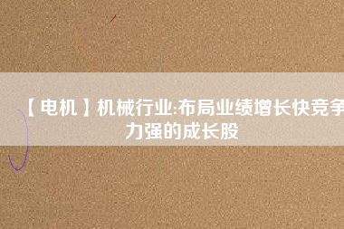 【電機(jī)】機(jī)械行業(yè):布局業(yè)績增長快競爭力強(qiáng)的成長股
          