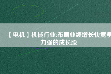 【電機(jī)】機(jī)械行業(yè):布局業(yè)績增長快競爭力強(qiáng)的成長股
          