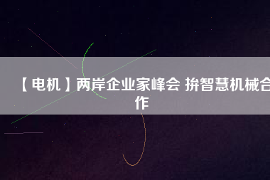 【電機】兩岸企業(yè)家峰會 拚智慧機械合作
          