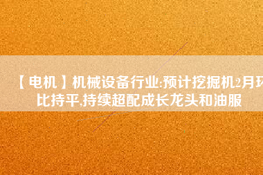 【電機(jī)】機(jī)械設(shè)備行業(yè):預(yù)計(jì)挖掘機(jī)2月環(huán)比持平,持續(xù)超配成長(zhǎng)龍頭和油服
          