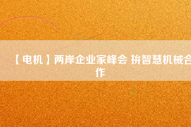 【電機】兩岸企業(yè)家峰會 拚智慧機械合作
          