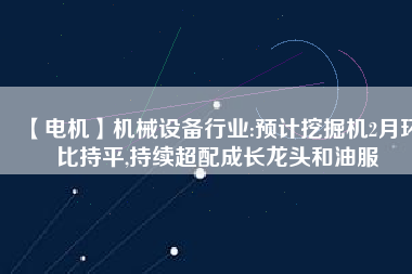 【電機(jī)】機(jī)械設(shè)備行業(yè):預(yù)計(jì)挖掘機(jī)2月環(huán)比持平,持續(xù)超配成長(zhǎng)龍頭和油服
          