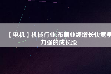 【電機(jī)】機(jī)械行業(yè):布局業(yè)績增長快競爭力強(qiáng)的成長股
          