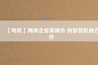 【電機】兩岸企業(yè)家峰會 拚智慧機械合作
          