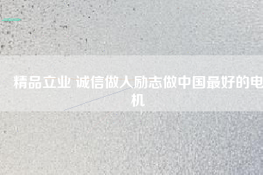 精品立業(yè) 誠信做人勵志做中國最好的電機
          