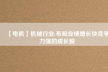 【電機(jī)】機(jī)械行業(yè):布局業(yè)績增長快競爭力強(qiáng)的成長股
          