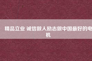 精品立業(yè) 誠信做人勵志做中國最好的電機
          