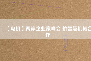 【電機】兩岸企業(yè)家峰會 拚智慧機械合作
          