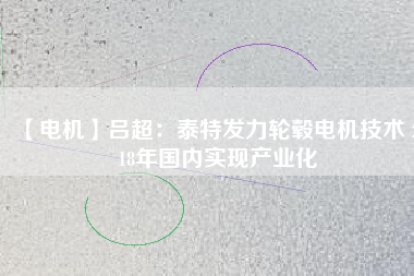 【電機】呂超：泰特發(fā)力輪轂電機技術(shù) 2018年國內(nèi)實現(xiàn)產(chǎn)業(yè)化
          