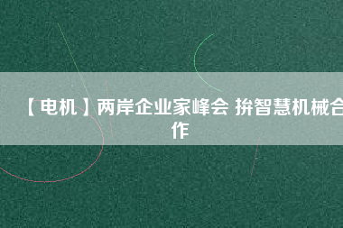 【電機】兩岸企業(yè)家峰會 拚智慧機械合作
          