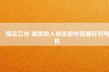 精品立業(yè) 誠信做人勵志做中國最好的電機
          