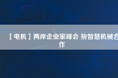 【電機】兩岸企業(yè)家峰會 拚智慧機械合作
          