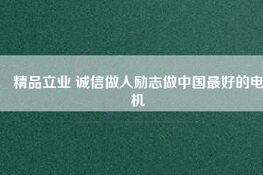 精品立業(yè) 誠信做人勵志做中國最好的電機
          