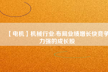 【電機(jī)】機(jī)械行業(yè):布局業(yè)績增長快競爭力強(qiáng)的成長股
          