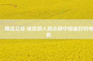 精品立業(yè) 誠信做人勵志做中國最好的電機
          