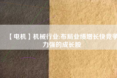 【電機(jī)】機(jī)械行業(yè):布局業(yè)績增長快競爭力強(qiáng)的成長股
          